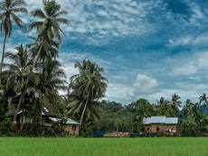 International database on REDD+ projects and programs (IDRECCO)