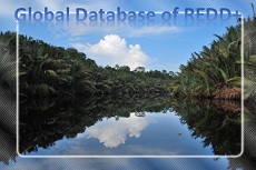CIFOR’s global database of REDD+ and other forest carbon projects