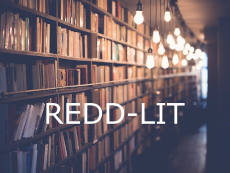 REDD-LIT