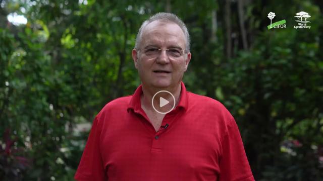 Christopher Martius reflects on the GCS REDD+ program