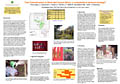 Tree domestication in west and Central Africa: a sustainable livelihood strategy?