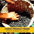 Video: Forest Product Trade  6 lessons for development and conservation