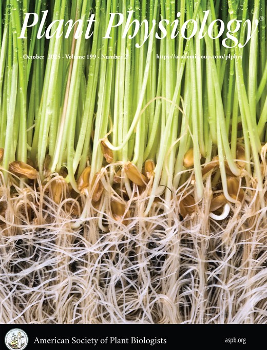 thumbnail of Integrating molecular genetics with plant breeding to deliver impact