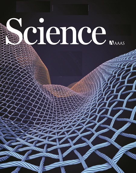 thumbnail of Pantropical tree rings show small effects of drought on stem growth