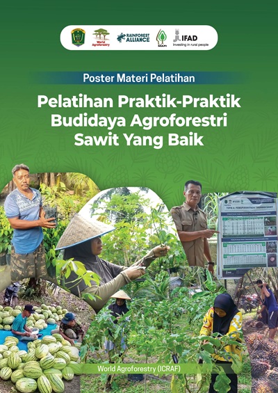 thumbnail of Poster Materi Pelatihan. Praktik-Praktik Budidaya Agroforestri Sawit yang Baik