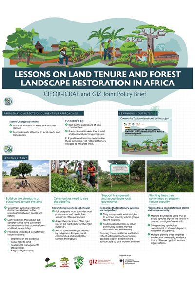 thumbnail of Lessons on land tenure and forest landscape restoration in Africa