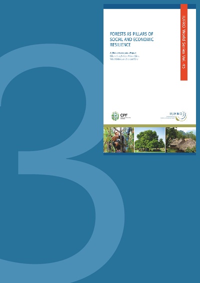 thumbnail of Relationships Between Forests and Social and Economic Resilience