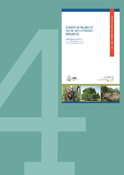 thumbnail of Analysis of Forest Governance and Institutions for Social and Economic Resilience