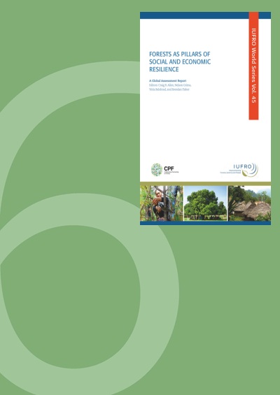 thumbnail of Options for Enhancing the Contributions of Forests to Social and Economic Resilience