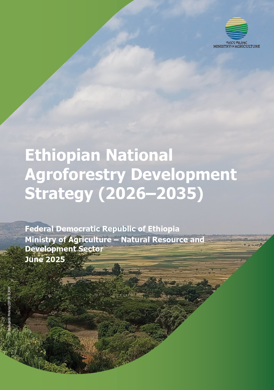thumbnail of Ethiopian National Agroforestry Development Strategy (2026–2035)