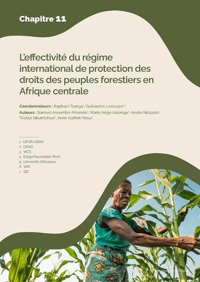 thumbnail of L’effectivité du régime international de protection des droits des peuples forestiers en Afrique centrale