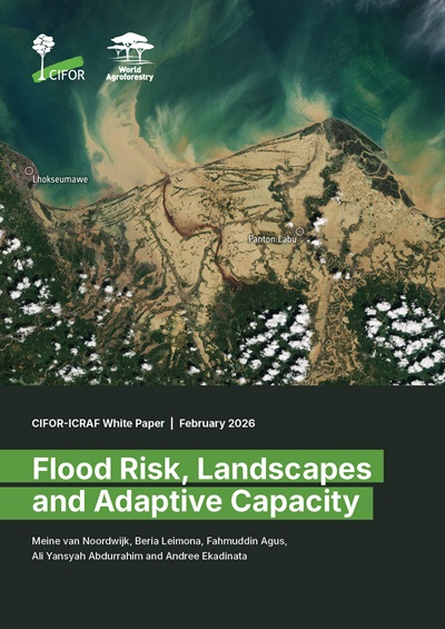 thumbnail of Flood risk, landscapes and adaptive capacity