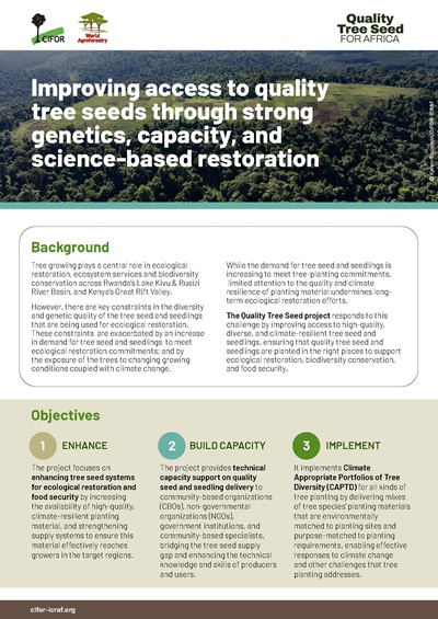 thumbnail of Improving access to quality tree seeds through strong genetics, capacity, and science-based restoration