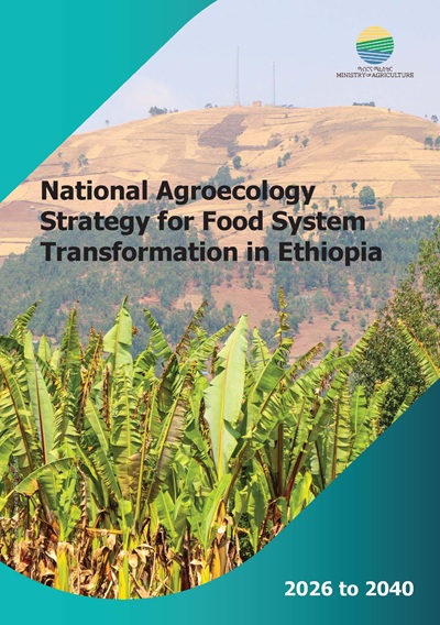 thumbnail of National Agroecology Strategy for Food System Transformation in Ethiopia, 2026 to 2040