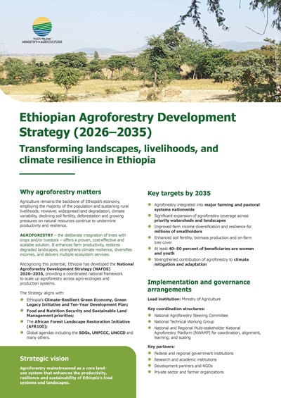 thumbnail of Ethiopian Agroforestry Development Strategy (2026–2035). Transforming landscapes, livelihoods, and climate resilience in Ethiopia