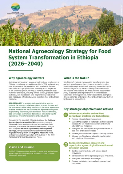 thumbnail of National Agroecology Strategy for Food System Transformation in Ethiopia (2026–2040)