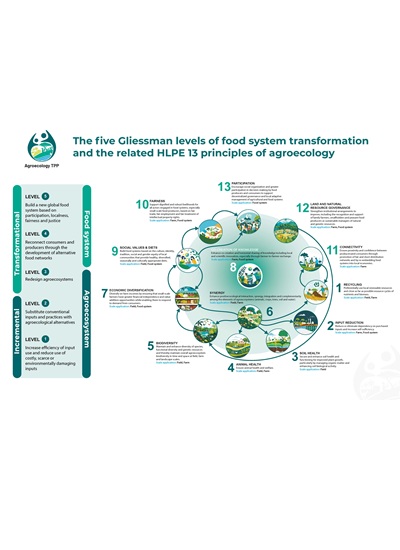 thumbnail of The five Gliessman levels of food system transformation and the related HLPE 13 principles of agroecology