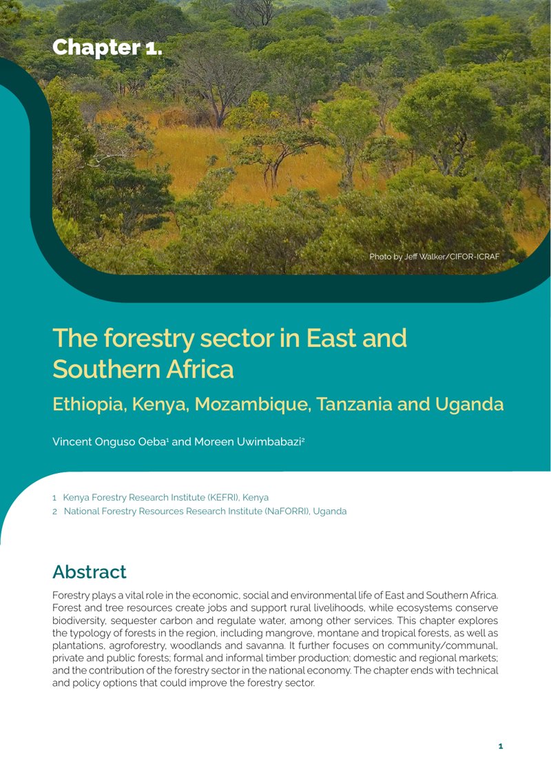 thumbnail of The forestry sector in East and Southern Africa: Ethiopia, Kenya, Mozambique, Tanzania and Uganda