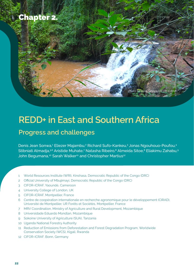 thumbnail of REDD+ in East and Southern Africa: Progress and challenges