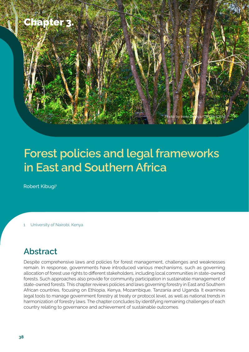 thumbnail of Forest policies and legal frameworks in East and Southern Africa
