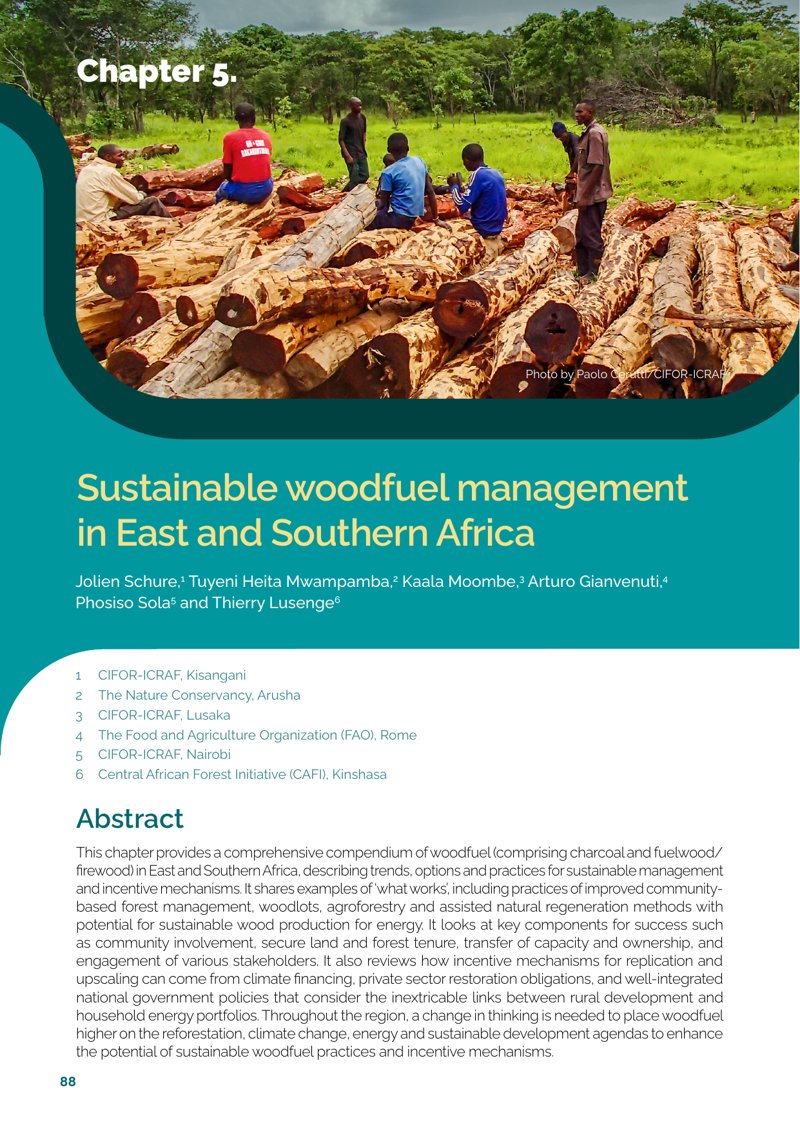 thumbnail of Sustainable woodfuel management in East and Southern Africa