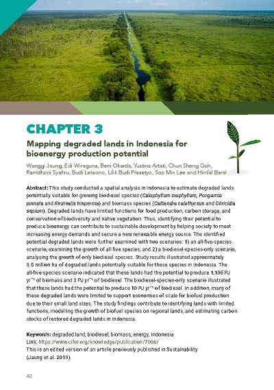 thumbnail of Mapping degraded lands in Indonesia for bioenergy production potential