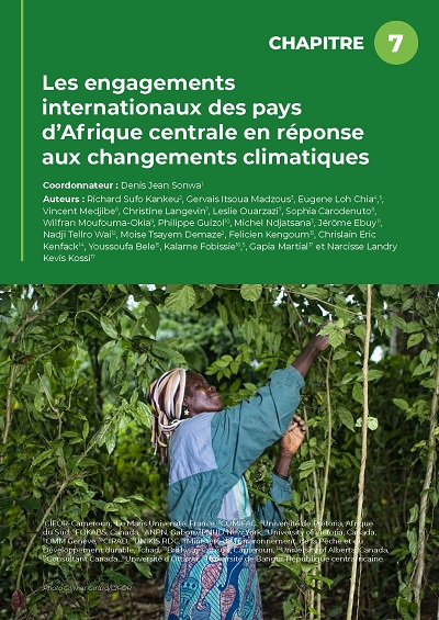 thumbnail of Les engagements internationaux des pays d’Afrique centrale en réponse aux changements climatiques