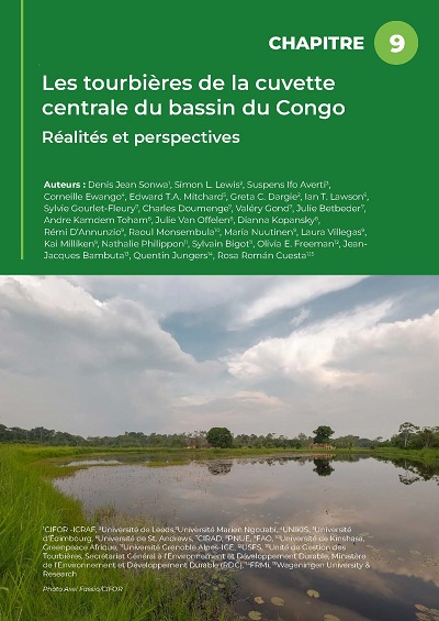 thumbnail of Les tourbières de la cuvette centrale du bassin du Congo : Réalités et perspectives