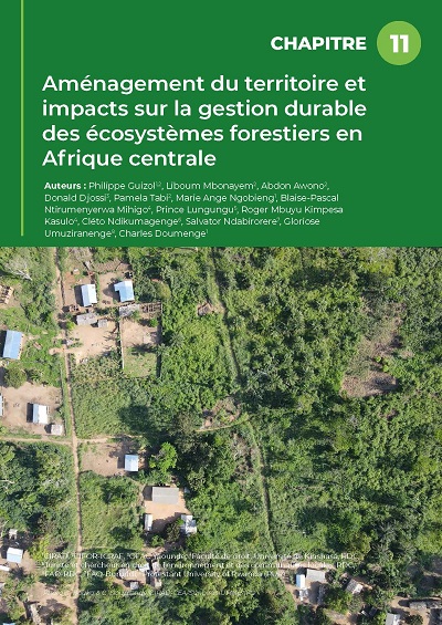 thumbnail of Aménagement du territoire et impacts sur la gestion durable des écosystèmes forestiers en Afrique centrale