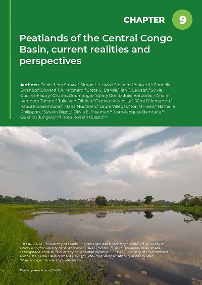 thumbnail of Peatlands of the Central Congo Basin, current realities and perspectives