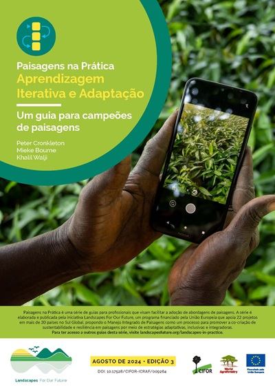 thumbnail of Aprendizagem Iterativa e Adaptação : Um guia para campeões de paisagens