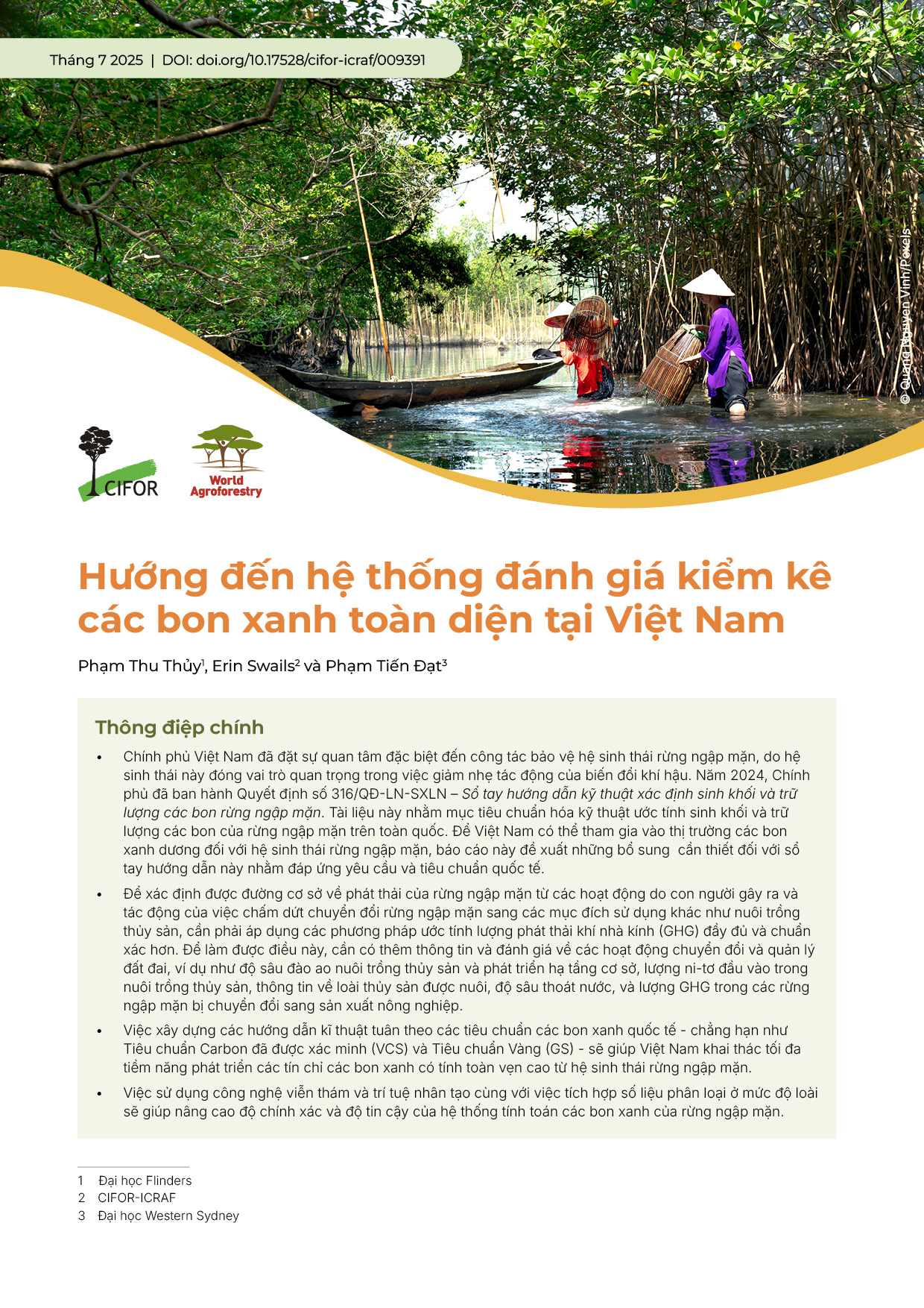thumbnail of Hướng đến hệ thống đánh giá kiểm kê các bon xanh toàn diện tại Việt Nam