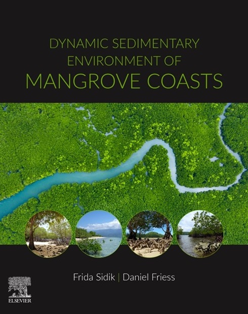thumbnail of Environmental drivers of blue carbon burial and soil carbon stocks in mangrove forests