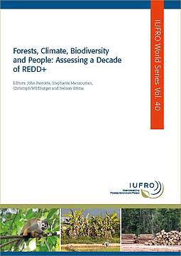 thumbnail of REDD+ Challenges and Lessons Learnt