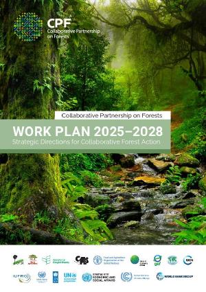 thumbnail of Collaborative Partnership on Forests Work Plan 2025–2028. Strategic Directions for Collaborative Forest Action