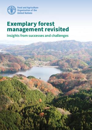 thumbnail of Lack of community participation and benefits threatens the future of Lokoundjé-Nyong Forest in Cameroon