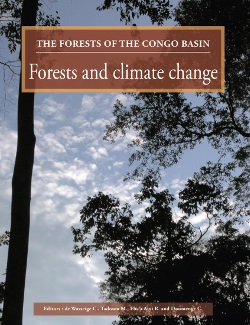 thumbnail of Climate of Central Africa: past, present and future