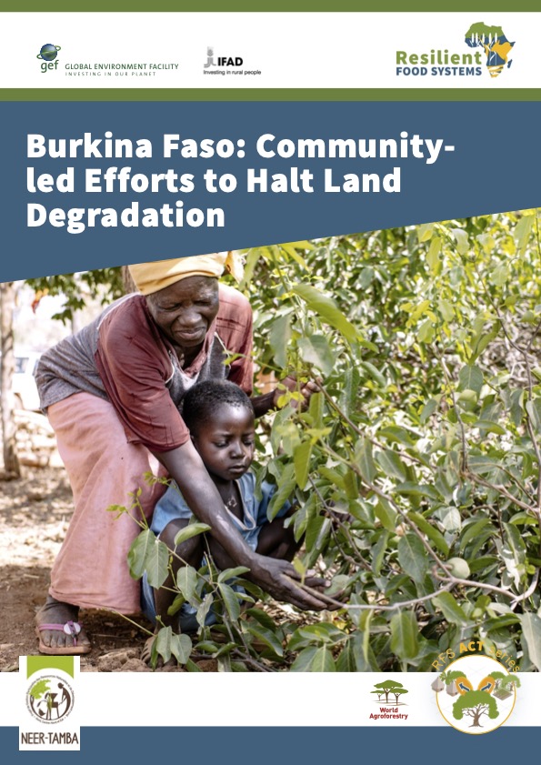 thumbnail of Burkina Faso: Community-led Efforts to Halt Land Degradation Produced