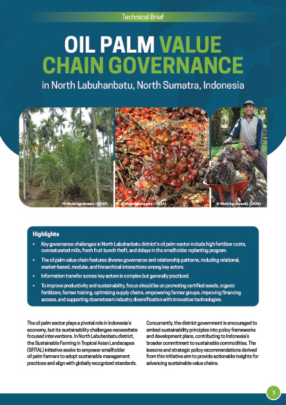 thumbnail of Oil palm value chain governance in North Labuhanbatu, North Sumatra, Indonesia