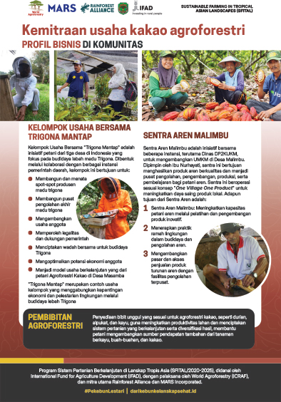 thumbnail of Kemitraan usaha kakao agroforestri