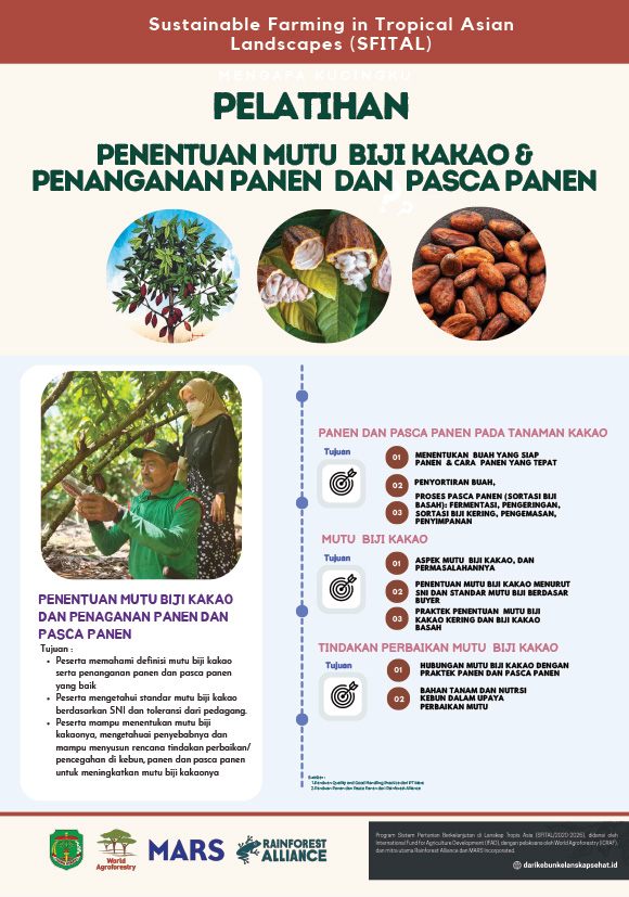 thumbnail of Pelatihan Penentuan Mutu Biji Kakao dan Penanganan Panen dan Pasca Panen