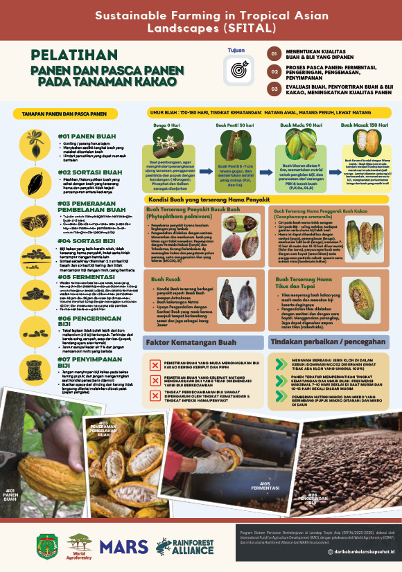 thumbnail of Pelatihan Panen dan Pasca Panen pada Tanaman Kakao