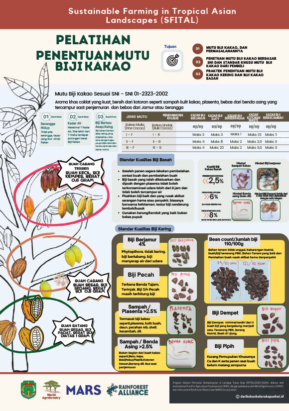 thumbnail of Pelatihan Penentuan Mutu Biji Kakao