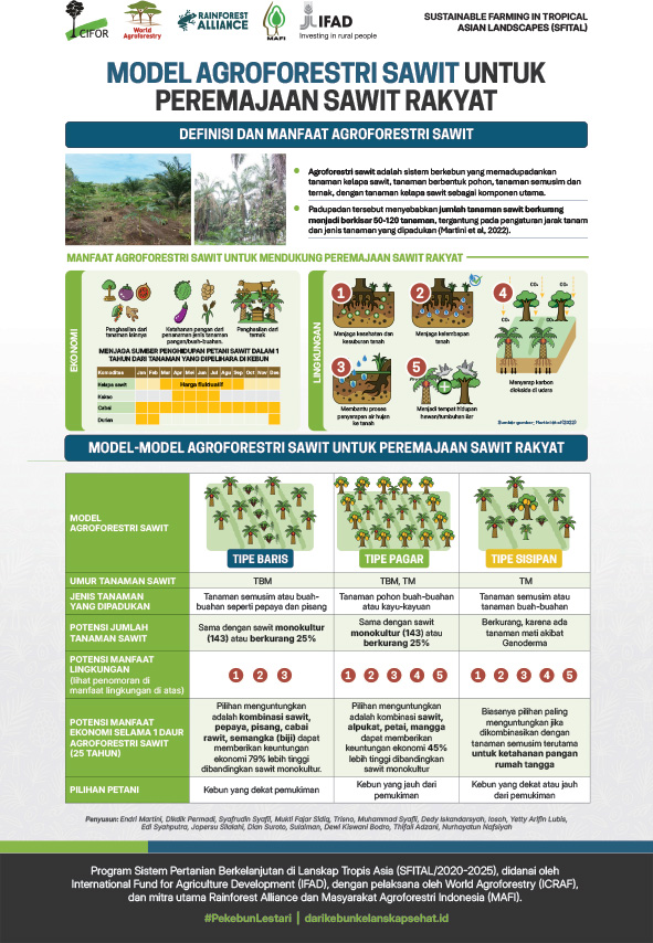 thumbnail of Model agroforestri sawit untuk peremajaan sawit rakyat