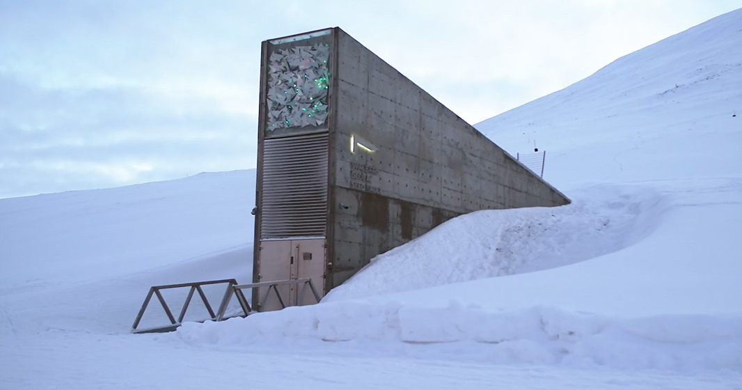 Inside the Doomsday Vault: Safeguarding tree seeds for our future