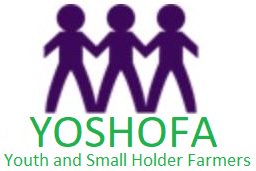 Youth and Small Holder Farmers (YOSHOFA)