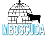Mbororo Social and Cultural Development Association (mboscuda)