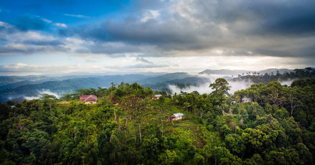 The Philippines' Precious Biodiversity Under Threat