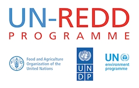 UN-REDD Programme