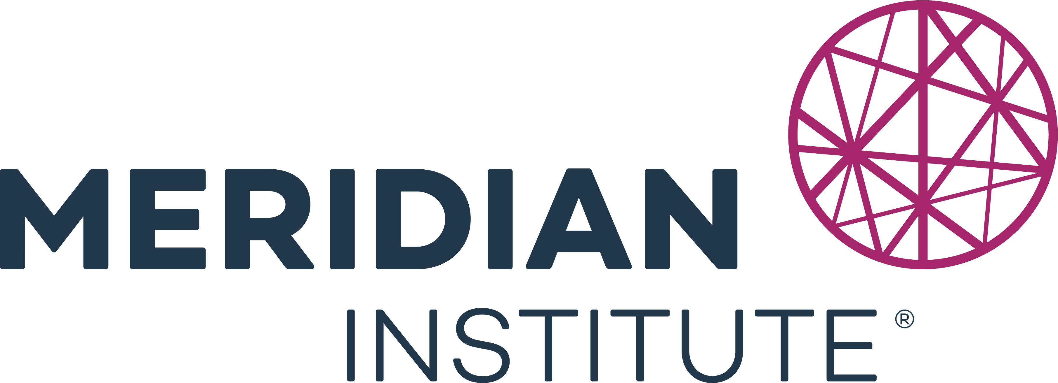 Meridian Institute